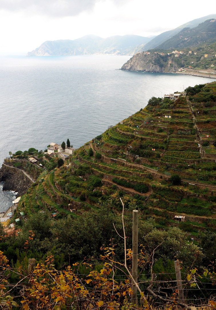 Looking North on the trail from Manarola to Riomaggiore, Cinque Terre