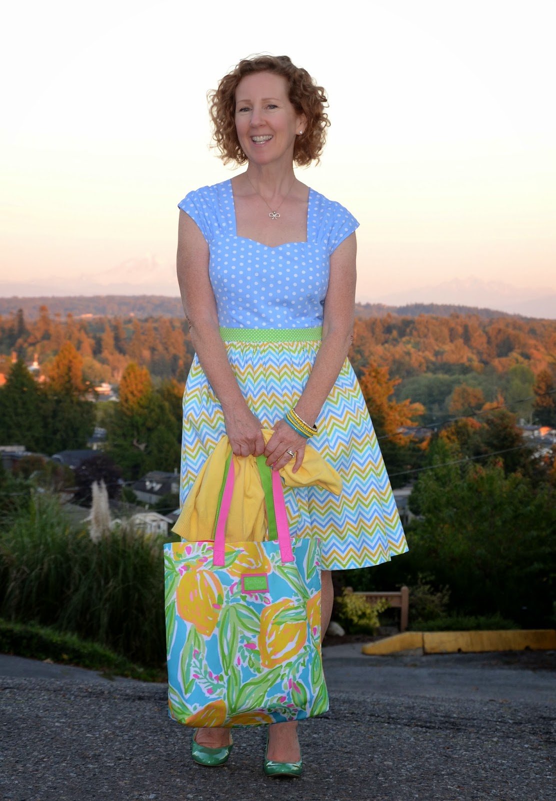 A Colourful Canvas, Sewaholic, Cambie Dress, DYT Type One A Colourful Canvas, Sewaholic, Cambie Dress, DYT Type One